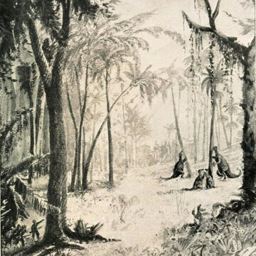 Obálka audioknihy Ztracený svět