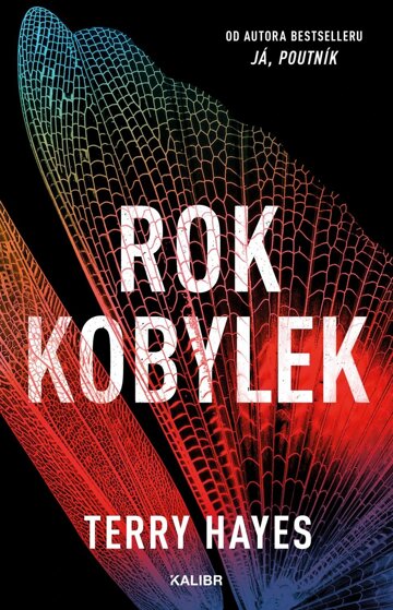 Obálka knihy Rok kobylek
