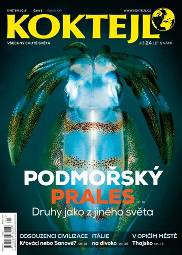 Obálka e-magazínu Koktejl 5/2016