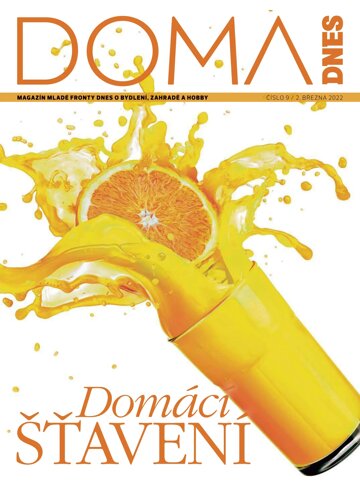 Obálka e-magazínu Doma DNES 2.3.2022