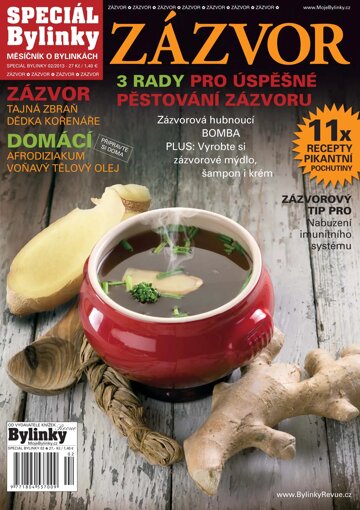 Obálka e-magazínu 2/2013 - Zázvor
