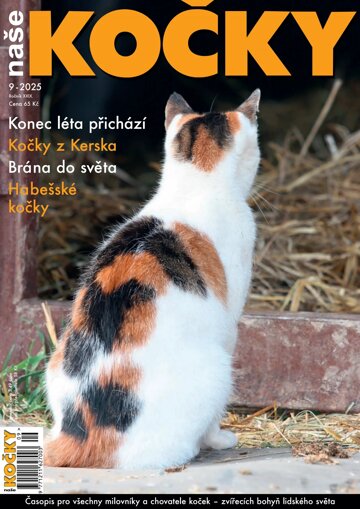 Obálka e-magazínu Naše kočky 9/2025