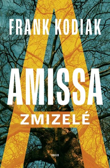 Obálka knihy Amissa: Zmizelé