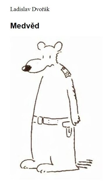 Obálka knihy Medvěd