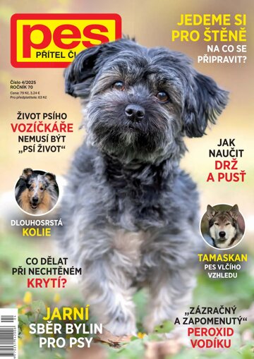 Obálka e-magazínu Pes přítel člověka 4/2025