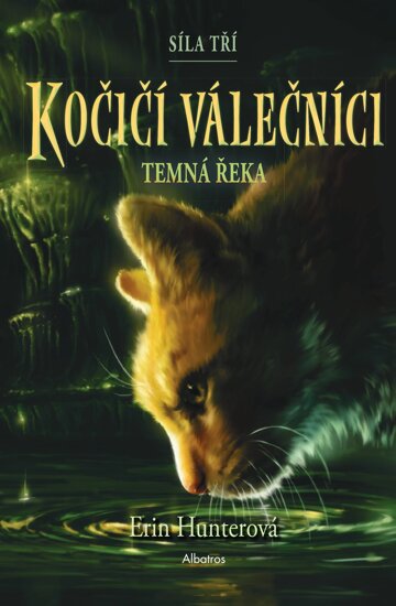 Obálka knihy Kočičí válečníci: Síla tří (2) – Temná řeka