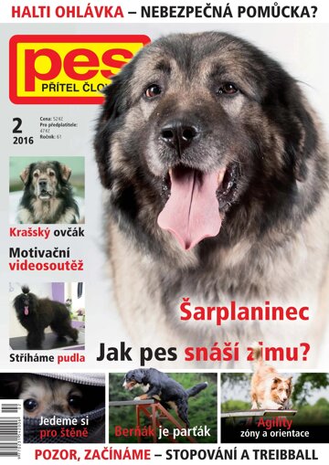 Obálka e-magazínu Pes přítel člověka 2/2016
