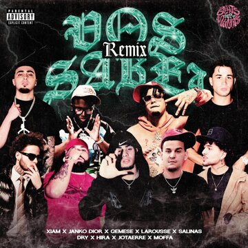 Obálka uvítací melodie Vos Sabei Remix 1.0 (feat. Moffa, Gemese, Janko Diorr, Larousse, Salinas) (Explicit)