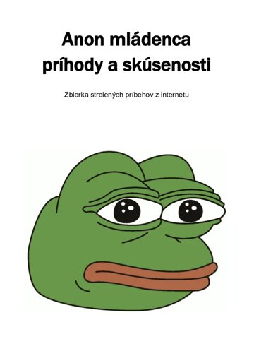 Obálka knihy Anon mládenca príhody a skúsenosti