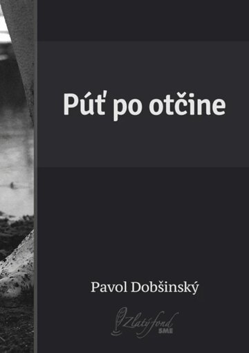 Obálka knihy Púť po otčine