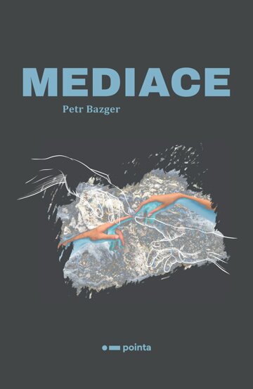 Obálka knihy Mediace