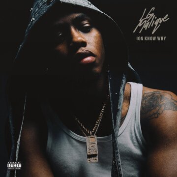 Obálka uvítací melodie Ion Know Why