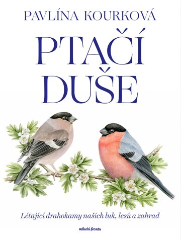 Obálka knihy Ptačí duše