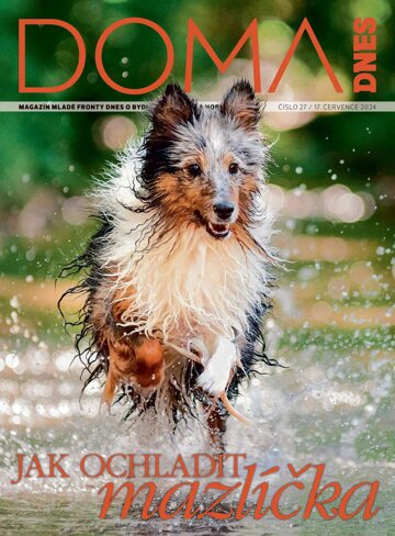 Obálka e-magazínu Doma DNES 17.7.2024