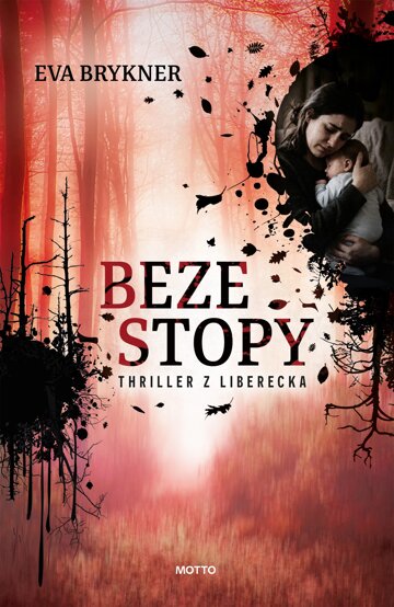 Obálka knihy Beze stopy