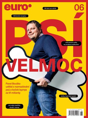 Obálka e-magazínu EURO 6/2017