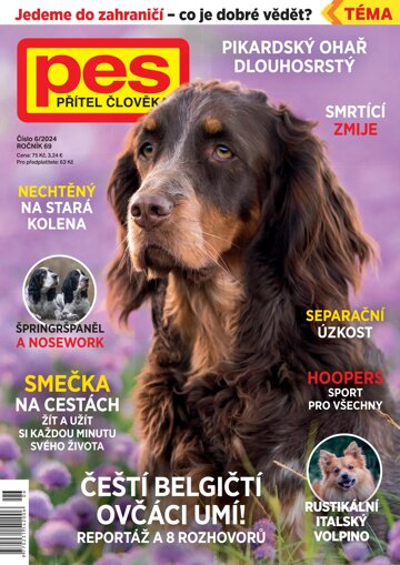 Obálka e-magazínu Pes přítel člověka 6/2024