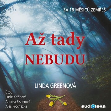 Obálka audioknihy Až tady nebudu
