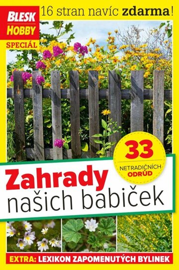 Obálka e-magazínu Příloha Blesk Hobby 7/2020