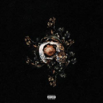 Obálka uvítací melodie broken vase (Explicit)