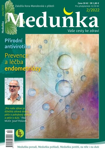 Obálka e-magazínu Meduňka 2/2022