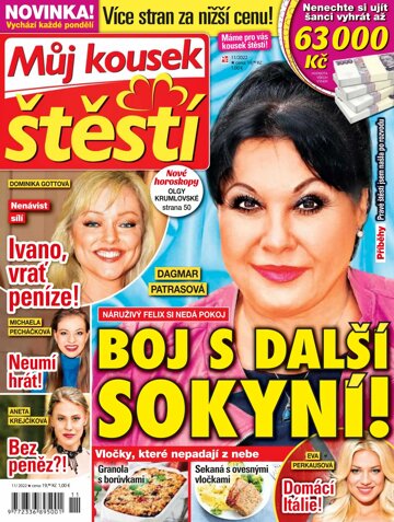 Obálka e-magazínu Můj kousek štěstí 11/22