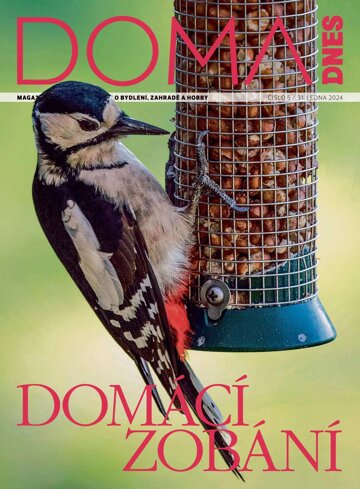 Obálka e-magazínu Doma DNES 31.1.2024