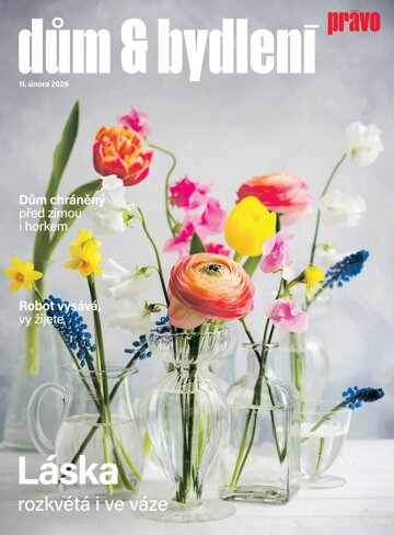 Obálka e-magazínu Dům & bydlení 11.2.2026