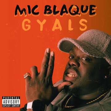 Obálka uvítací melodie G Y A L S