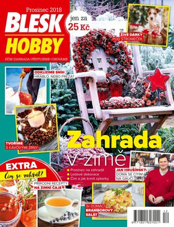 Obálka e-magazínu Blesk Hobby 12/2018