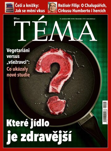 Obálka e-magazínu TÉMA 31.12.2020