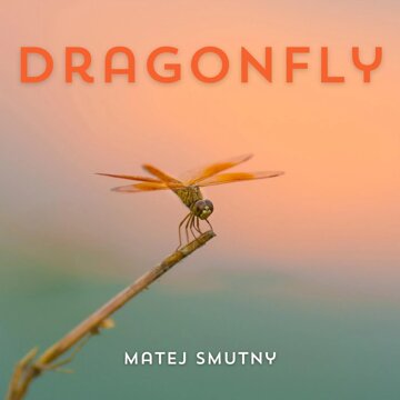 Obálka uvítací melodie Dragonfly