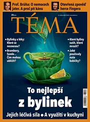 TÉMA 12.5.2023