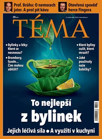 Obálka e-magazínu TÉMA 12.5.2023