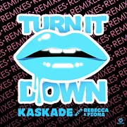 Turn It Down (Nause Remix)