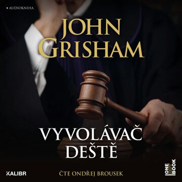 Obálka audioknihy Vyvolávač deště