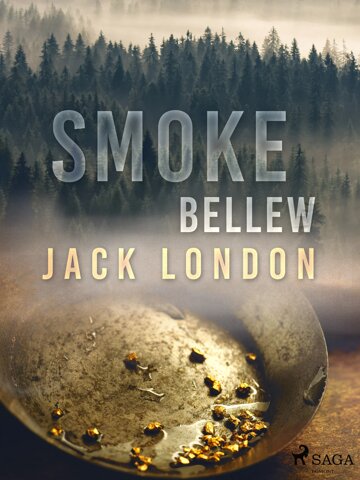 Obálka knihy Smoke Bellew