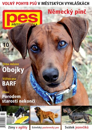 Obálka e-magazínu Pes přítel člověka 10/2015