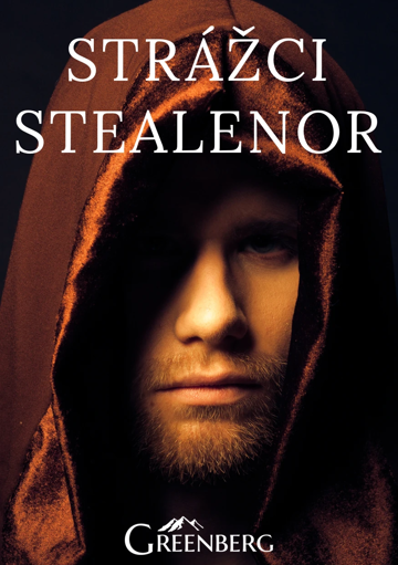 Obálka knihy Strážci Stealenor