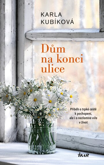 Obálka knihy Dům na konci ulice