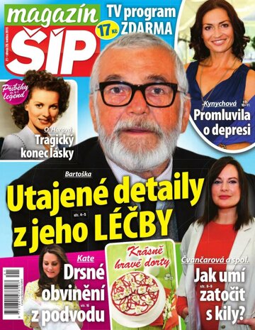 Obálka e-magazínu Magazín Šíp 21/2015