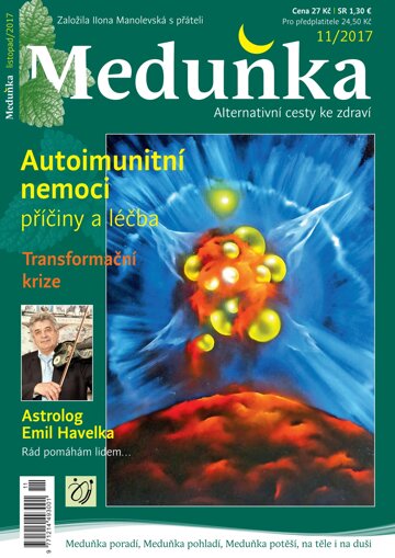 Obálka e-magazínu Meduňka 11/2017