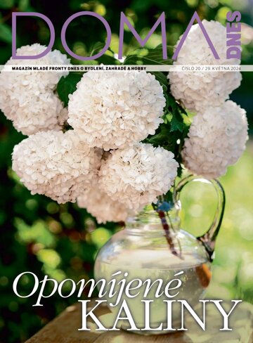 Obálka e-magazínu Doma DNES 29.5.2024