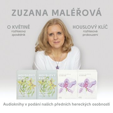 Obálka audioknihy O květině & Houslový klíč