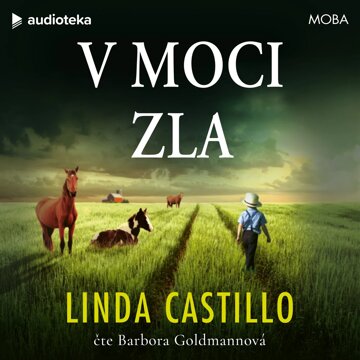 Obálka audioknihy V moci zla