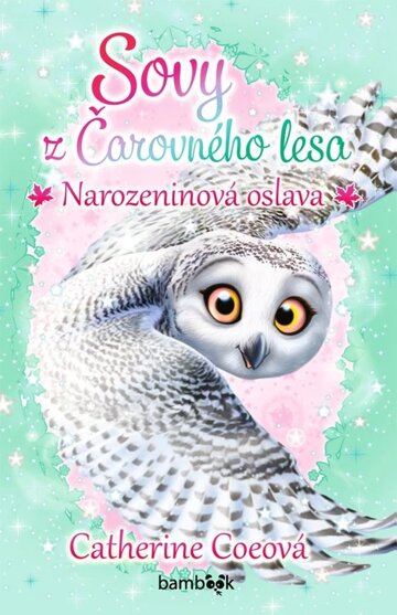 Obálka knihy Sovy z Čarovného lesa - Narozeninová oslava