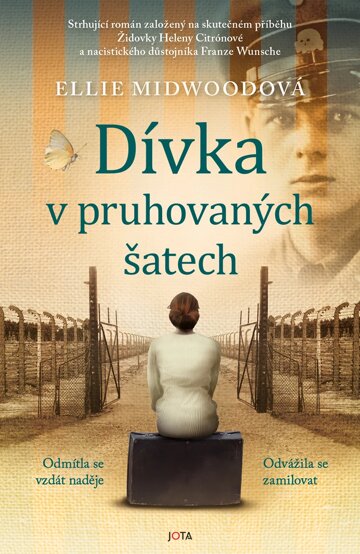 Obálka knihy Dívka v pruhovaných šatech