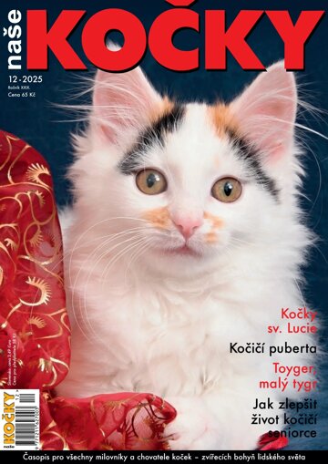 Obálka e-magazínu Naše kočky 12/2025