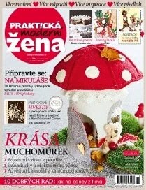 Obálka e-magazínu Praktická žena 11/2014
