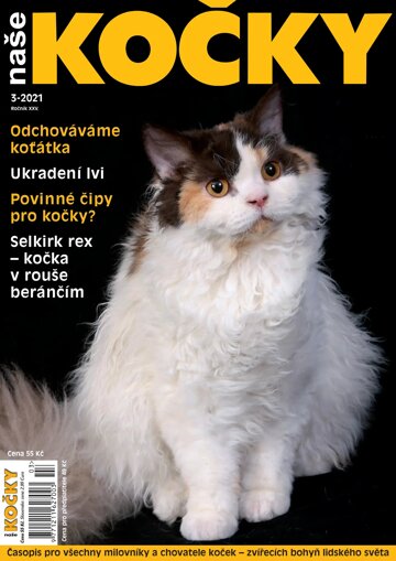 Obálka e-magazínu Naše kočky 3/2021